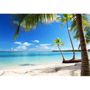Decorative Wall Mural Tropical Design 366 cm × 254 cm Blue | Balbaid Decor Company