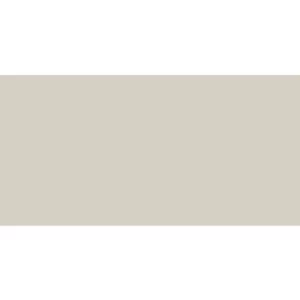 Spanish Wall Ceramic Matte Surface 30×60 cm Beige | 