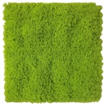 عشب جداري ديكوري 3D ، تغطية 1 م²، لون أخضر فاتح