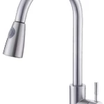 PALAPHIR Kitchen Mixer Pull Out, Matt Chrome Color
