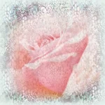 Italian Wall Covering, Size 10m x 0.73m, Multi-colored, Model 24123