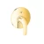 Concealed Shower Mixer Face, Gold Color, Two Lines, Round