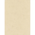 Italian Wall Decoration, Beige Color, Length 10 m, Width 0.73 m, Model 25057