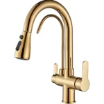Kitchen Sink Mixer With Desalination Filter 41 cm, Gold Color