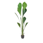 Decorative Artificial Tree yator, green color, height 180 cm