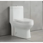 Floor Mounted WC White Design Modern