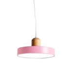 Suspended Lighting Unit, Dimensions 20x4x6 cm, pink color