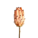 زهر صناعى للزينة كيرا، لون وردى، طول 50 سم