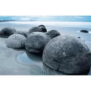 Mural Image Tropical Design 175 cm × 115 cm Gray Color | Balbaid Decor Company