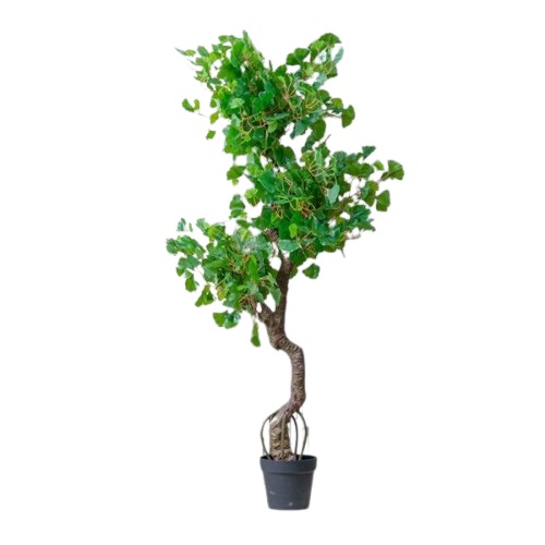 Vera Artificial Plant 160 cm Height, 60 cm Width, Green with Brown Decorative Vase | Vera