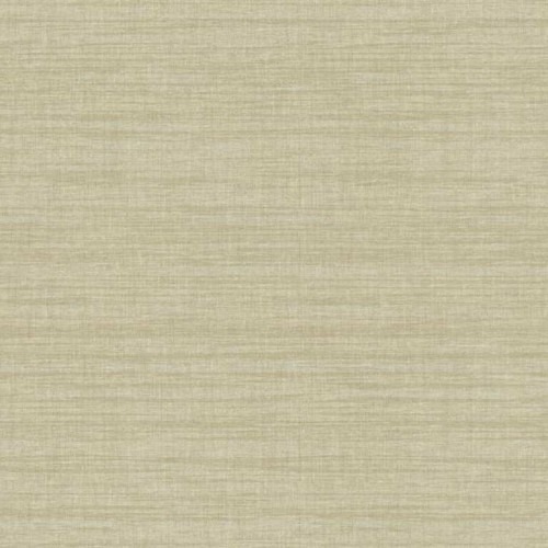 Patterned Wall Decoration 10 m x 0.53 m Beige, Model TT6299 | Balbaid Decor Company