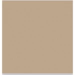 Porcelain flooring Thickness 9 mm, Size 40x40 cm , Dark beige Color, Compact Model | Future Ceramic Company