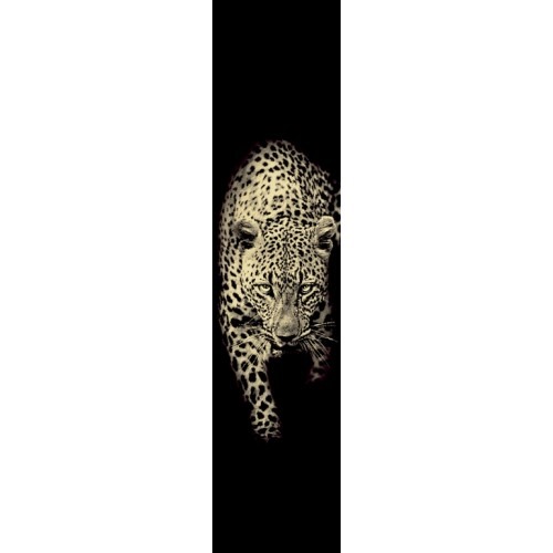 Italian Wall Decoration 10m×0.70m Black with Beige, Model 12067 | Balbaid Decor Company