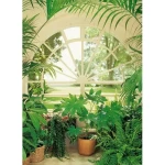 Decorative wall mural tropical design, Size 183 cm × 254 cm, green color