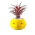 Tala Artificial Plant - Yellow and Burgundy Color, Size 16×10 cm 