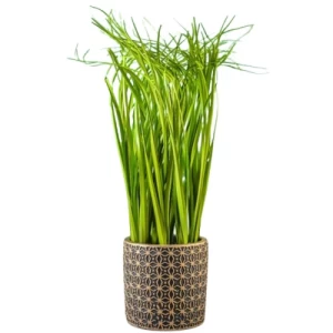 Polan Artificial Plant Height 33 cm Diameter 7 cm, Green Color | Polan
