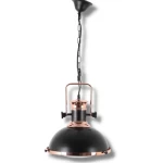 Single Hanging Ceiling Lamp, Black Color