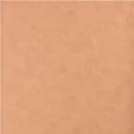 ورق جدران تصميم سادة مقاس 10م×10.6م، لون بني فاتح، موديل كولوريثم باينت