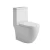Floor Mounted Toilet Size 25 cm, Chinese Round Shape, White Color