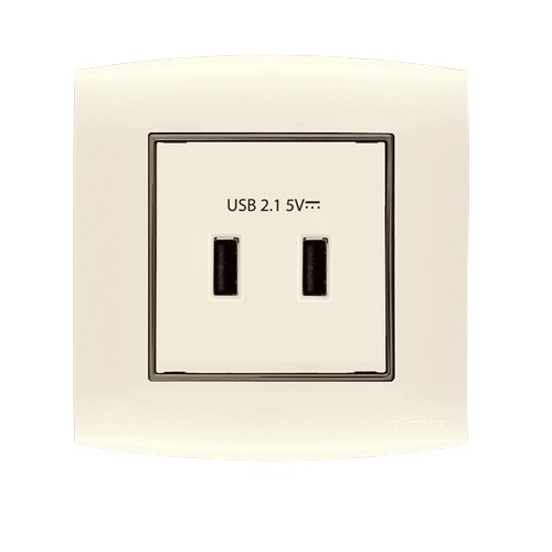 فيش شاحن USB مزدوج 2.1 أمبير 7x7 سم بيج بحلقة سوداء | شركة الفنار