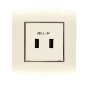 فيش شاحن USB مزدوج 2.1 أمبير 7x7 سم بيج بحلقة سوداء | شركة الفنار