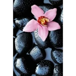 Mural image floral design, Size 175 cm × 115 cm, black and pink color