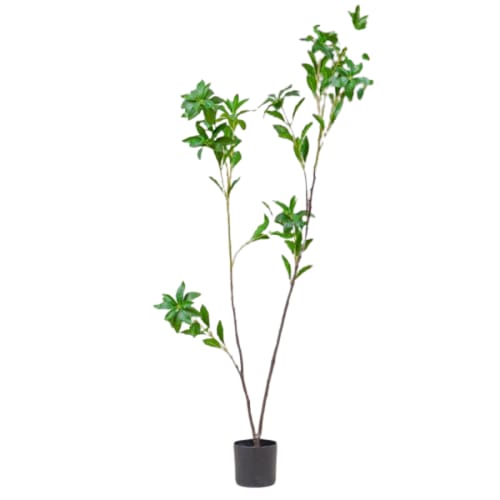 Kitra Decorative Artificial Tree 120 cm Height, 60 cm Diameter, Green with Brown | Kitra