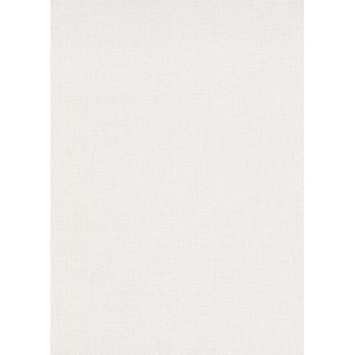 German Wall Decoration 10m x 0.53m Off-White, Model 10215-14 | Balbaid Decor Company