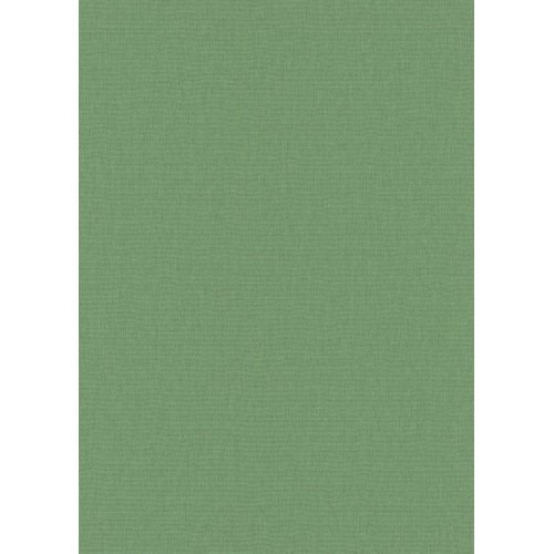 ورق حائط ساده 10x0.53 م لون اخضر موديل 10393-07 | شركة بالبيد للديكور