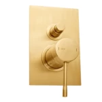 Italian Two Way Concealed Shower Mixer, Matte Gold, 16×11.4×10 cm