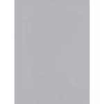 ورق جدران الماني مقاس 10 م×0.53 م، لون رمادي، موديل 10-10080