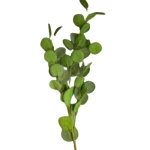 ورد صناعى جلاكسي، لون اخضر، مقاس 100 سم