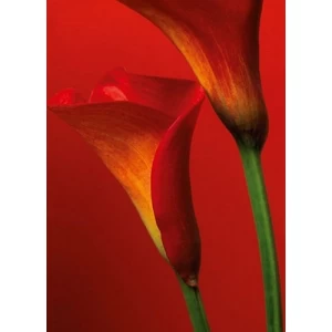 Decorative Wall Mural Floral Design 183×254 cm, Red Color | Balbaid Decor Company