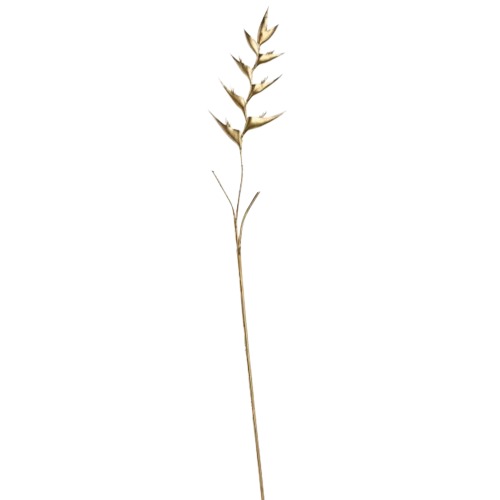 Artificial Lavender Flowers 94 x 0.2 x 94 cm, Golden Color | Abyat Company