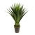 شجره صبار السيسال الصناعي بارتفاع 100 سم، لون أخضر 