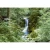 Wall mural for decoration forests design, Size 366cm × 254 cm, green color