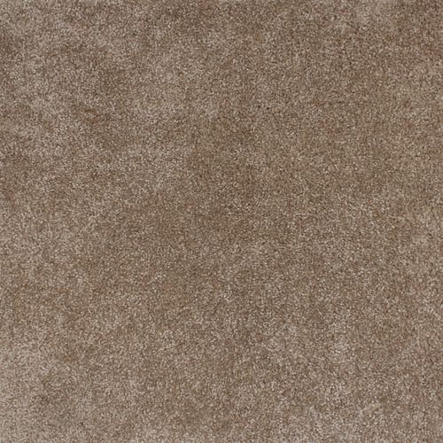 Polypropylene Household Carpet Brown Color, Model 307 | YT-55400312