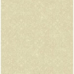American Classic Wallpaper Size 10m x 0.53m, Pale Beige Color, Model BC60502