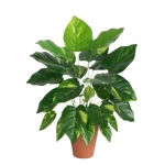 نبات دفنباخيا صناعي للديكور، طول 45 سم 