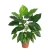 نبات دفنباخيا صناعي للديكور، طول 45 سم 
