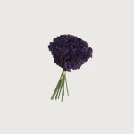 Carnation Flower Bouquet, Size 36x16 cm, purple Color