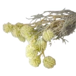 باقة زهور سيلفيا، لون اخضر، حجم 40 سم