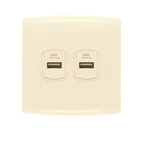 فيش شاحن USB مزدوج 2.1 أمبير 7x7 سم بيج موديل ALF الفنار | شركة الفنار