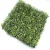 عشب جداري، تغطية 1 م²، سماكة 4 سم، لون أخضر 