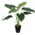 نبات زينة صناعي، أخضر، طول 60 سم 