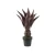 Decorative Artificial Plant for Home, Size 70x20 cm, reddish brown