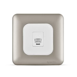 فيش كمبيوتر RJ45 كات 6 مع شاتر، مفرد، 7×7 سم، لون تيتانيوم | Spectra