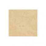 American wallpaper pattern design 10 m x 0.53 m, beige, model TR20104