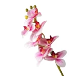 Lucia Decorative Flowers, Multi Colors, Size 75 cm 