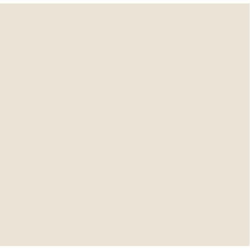 Porcelain Floor Tiles Matte 9 mm Thickness, 30x30 cm, Light Beige, Salt and Pepper Model | RAK Ceramics
